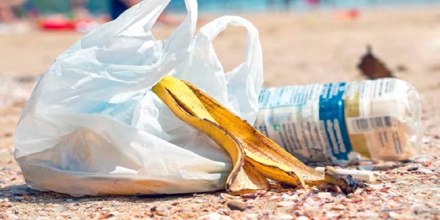 Studies Confirm That a Small Tax Definitely Helps Curb Plastic Pollution